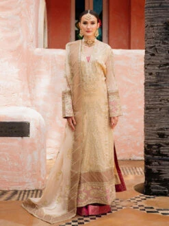 Embroidered Luxury Chiffon