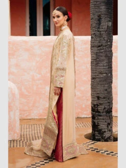 Embroidered Luxury Chiffon -Harmony Shop Pakistani Dress C1215J 4