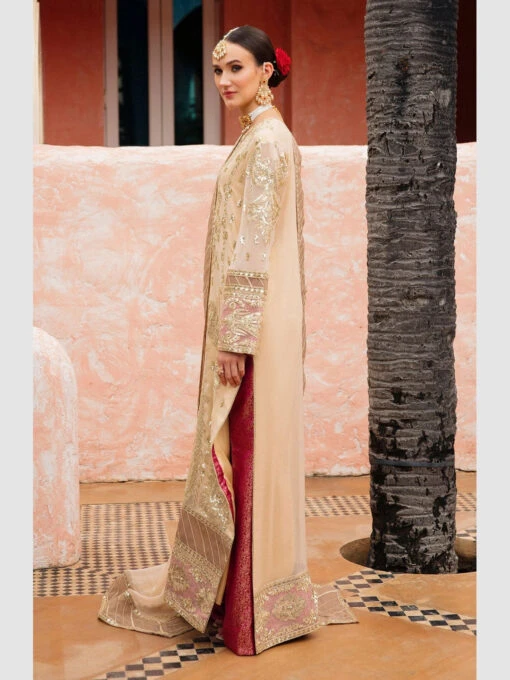 Embroidered Luxury Chiffon - Image 3