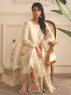 Premium Embroidered Chiffon -Harmony Shop Pakistani Dress C1218E 1