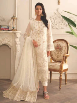Premium Embroidered Chiffon