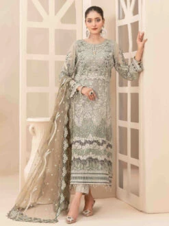 Embroidered Heavy Chiffon