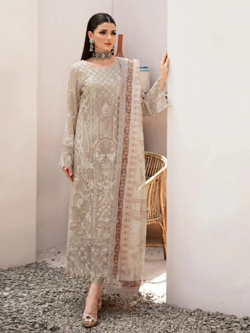 Embroidered Chiffon Sequins