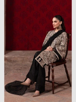 Luxe Sequins Chiffon -Harmony Shop Pakistani Dress C1267A 2