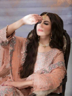 Embroidered Crinkle Chiffon -Harmony Shop Pakistani Dress C1271A 3
