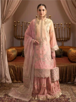 Embroidered Shaded Chiffon