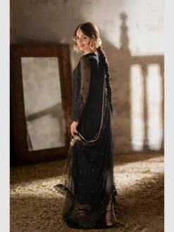 Midnight Veil Chiffon -Harmony Shop Pakistani Dress C1296D 2
