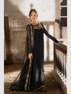 Midnight Veil Chiffon -Harmony Shop Pakistani Dress C1296D 3
