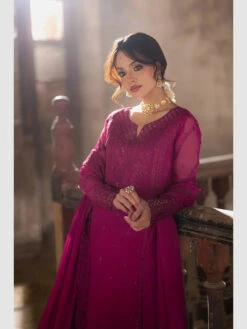Plum Reverie Chiffon -Harmony Shop Pakistani Dress C1296G 2