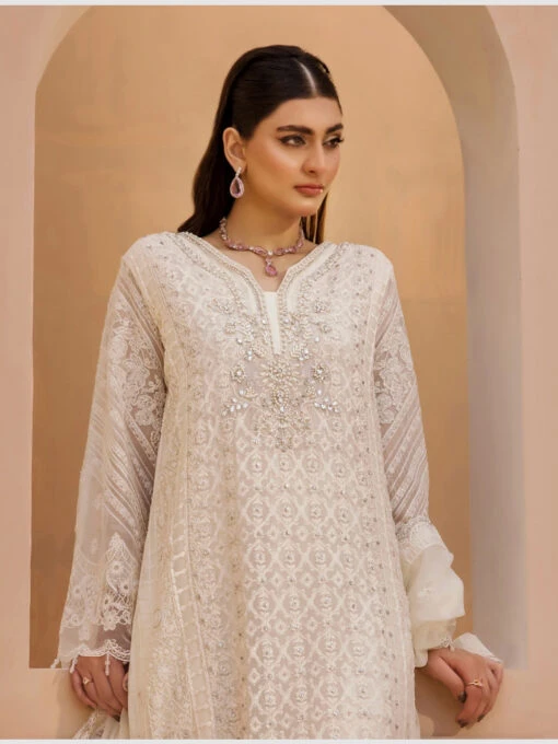 Embellished Designer Chiffon - Image 5