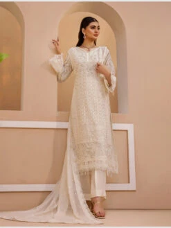 Embellished Designer Chiffon