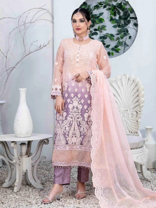Fancy Embroidered Chiffon