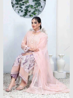Fancy Embroidered Chiffon -Harmony Shop Pakistani Dress C1320F 3