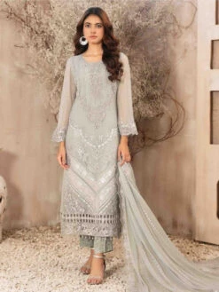 Embroidered Fancy Chiffon