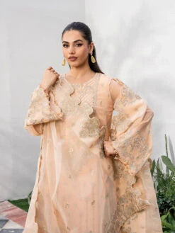 Tarz Embroidered Chiffon -Harmony Shop Pakistani Dress C1330K 2