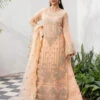 Tarz Embroidered Chiffon -Harmony Shop Pakistani Dress C1330K 3