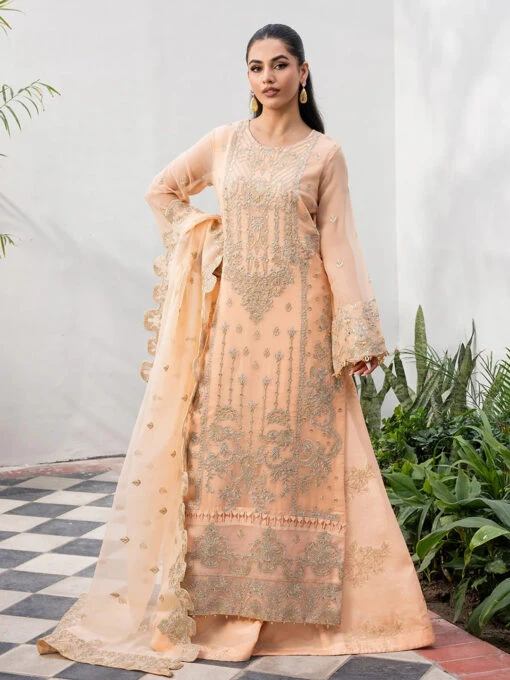 Tarz Embroidered Chiffon