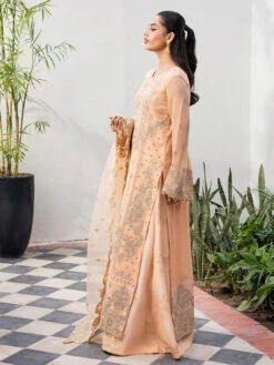 Tarz Embroidered Chiffon -Harmony Shop Pakistani Dress C1330K 4