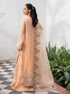 Tarz Embroidered Chiffon -Harmony Shop Pakistani Dress C1330K 5