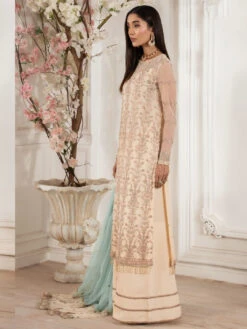 Sequins Embroidered Net -Harmony Shop Pakistani Dress C1331E 2