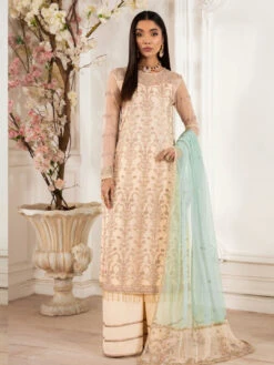 Sequins Embroidered Net