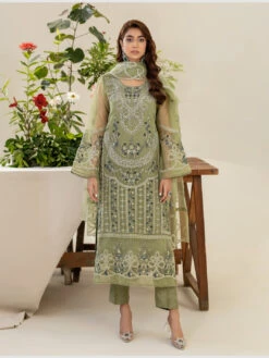 Luxury Embroidered Organza