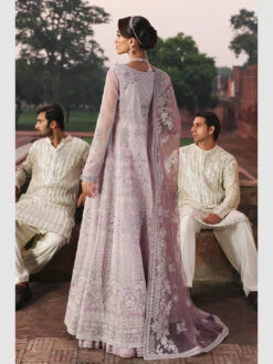 Festive Embroidered Organza -Harmony Shop Pakistani Dress C1333E 1