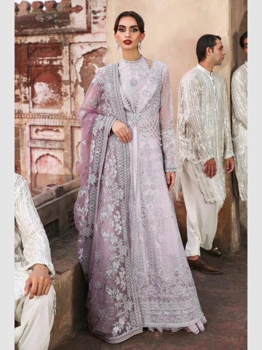 Festive Embroidered Organza - Image 5