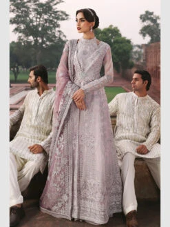 Festive Embroidered Organza