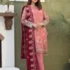 Embroidery On Organza & Silk -Harmony Shop Pakistani Dress C500B 2