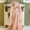 Embroidery On Net & Silk -Harmony Shop Pakistani Dress C500C 1 55e51e8e 7bca 4953 b56a 05400f8d2a29