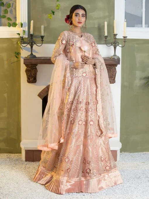 Embroidery On Net & Silk
