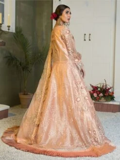 Embroidery On Net & Silk -Harmony Shop Pakistani Dress C500C 2 67a96c40 993e 4e24 8359 dacaa918aede