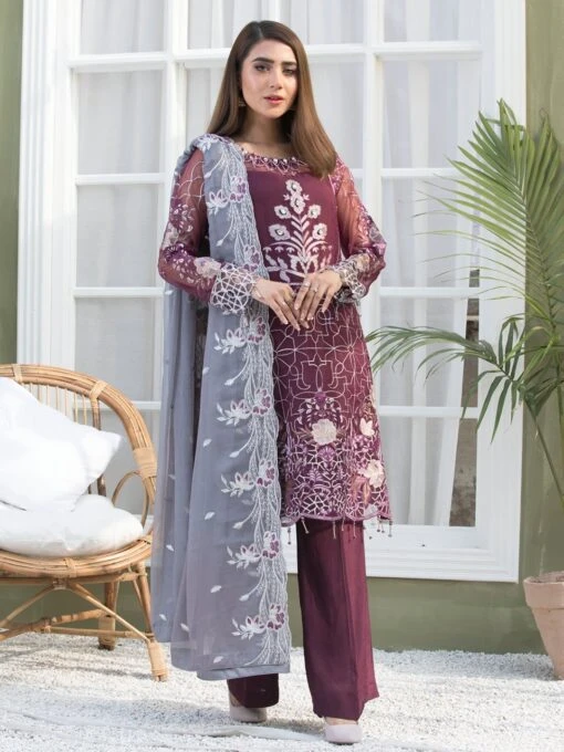 Embroidery On Chiffon & Organza
