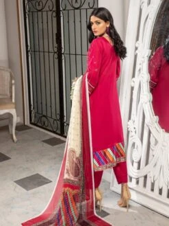 Schiffli Embroidered Chiken Kari -Harmony Shop Pakistani Dress C542J 3 9525a456 20b8 40e9 860c 17e24c7b824b