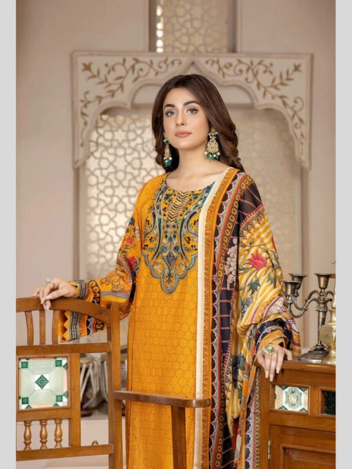 Dyed Chikankari Embroidered - Image 3