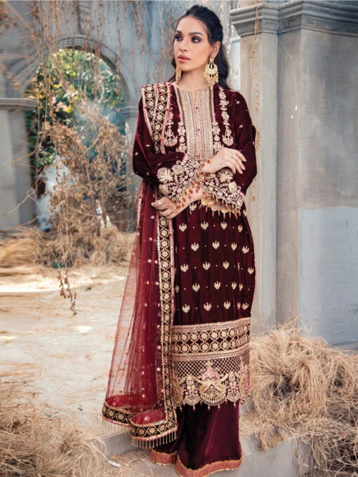 Designer Embroidered Velvet - Image 5
