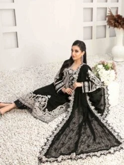 Embroidered Chiffon -Harmony Shop Pakistani Dress C844K 2
