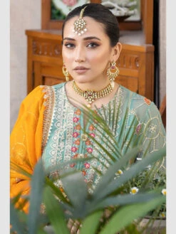Majestic Embroidered Chiffon -Harmony Shop Pakistani Dress C946K 1