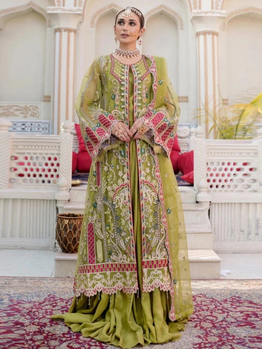 Exclusive Embroidered Organza