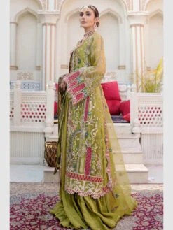 Exclusive Embroidered Organza -Harmony Shop Pakistani Dress C982D 3