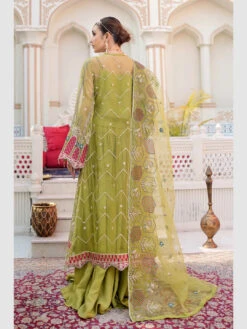 Exclusive Embroidered Organza -Harmony Shop Pakistani Dress C982D 4