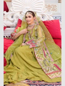 Exclusive Embroidered Organza -Harmony Shop Pakistani Dress C982D 5