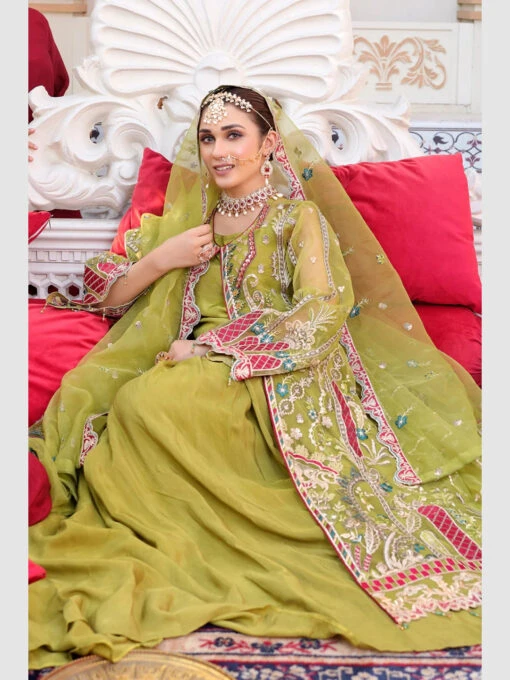 Exclusive Embroidered Organza - Image 5