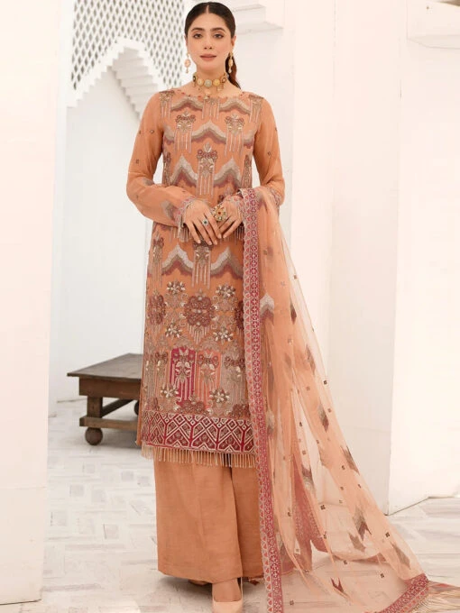 Embroidered Chiffon Design