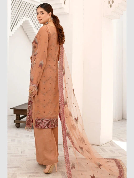 Embroidered Chiffon Design - Image 4