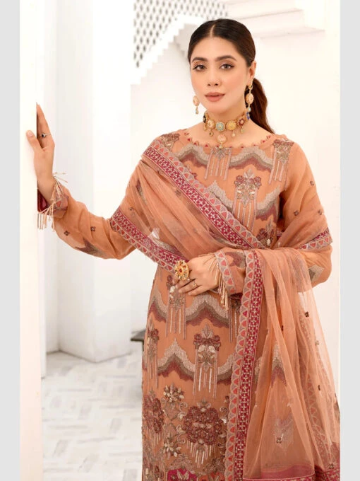 Embroidered Chiffon Design - Image 5