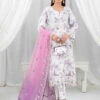 Heavy Embroidered Organza -Harmony Shop Pakistani Suit C1100E 4
