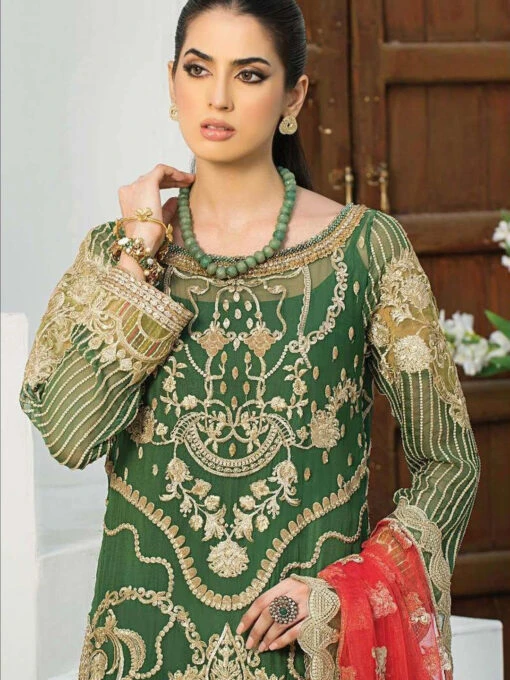 Embroidered Net Laroza - Image 4
