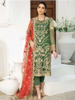 Embroidered Net Laroza
